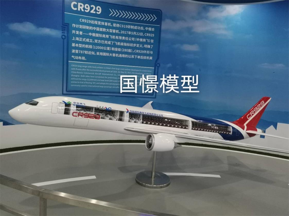 洪江市飞机模型